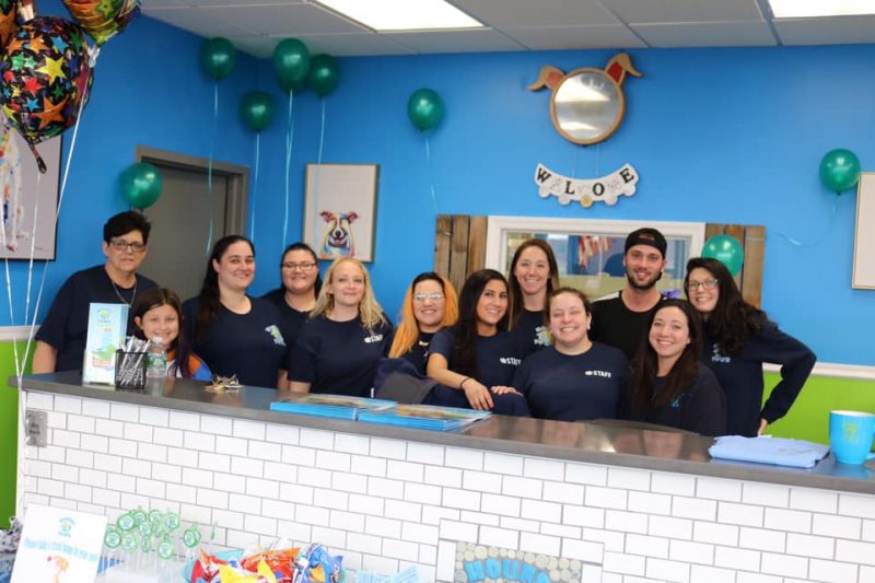 Doggie Day Care Hounds Town USA