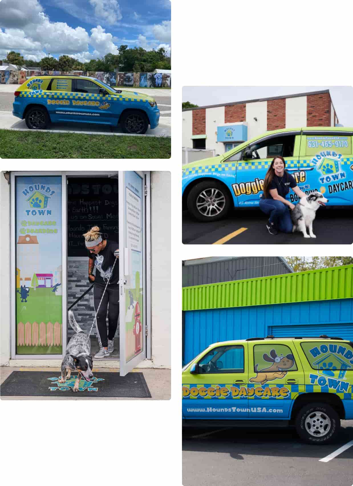Pet Taxi services