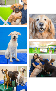 home collage